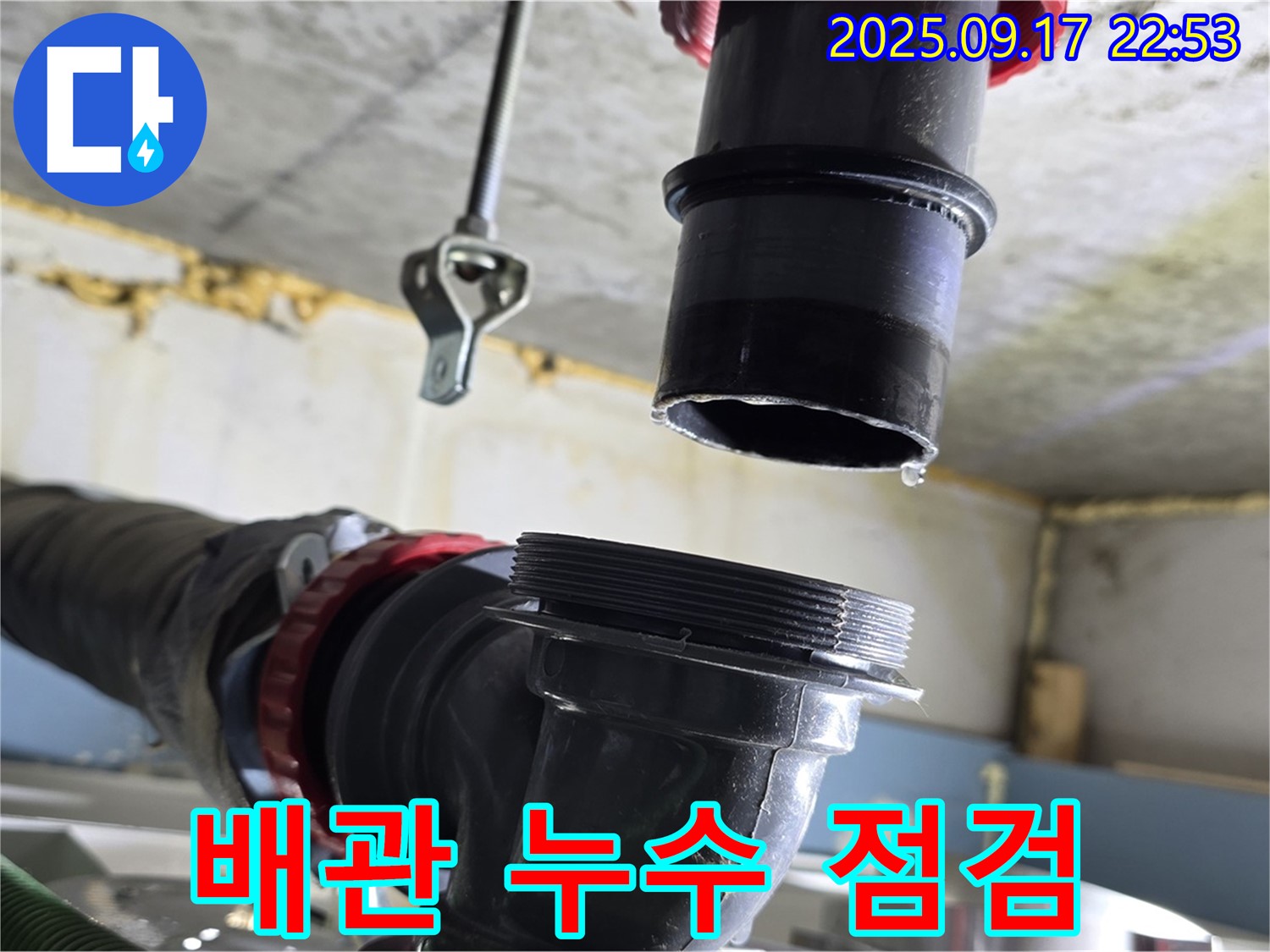 싱크대 하수구 배관 누수 점검 - 싱크대 하수구 배관에서 누수가 발생하는지 꼼꼼하게 점검하고 있습니다.