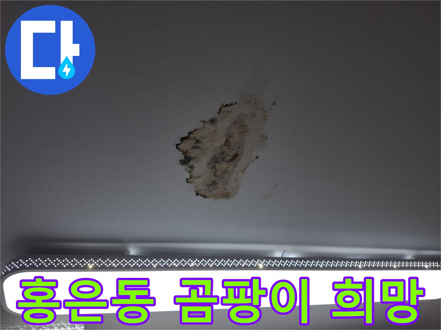 곰팡이 가득 찬 천장 - 이제 희망을 이야기할 때