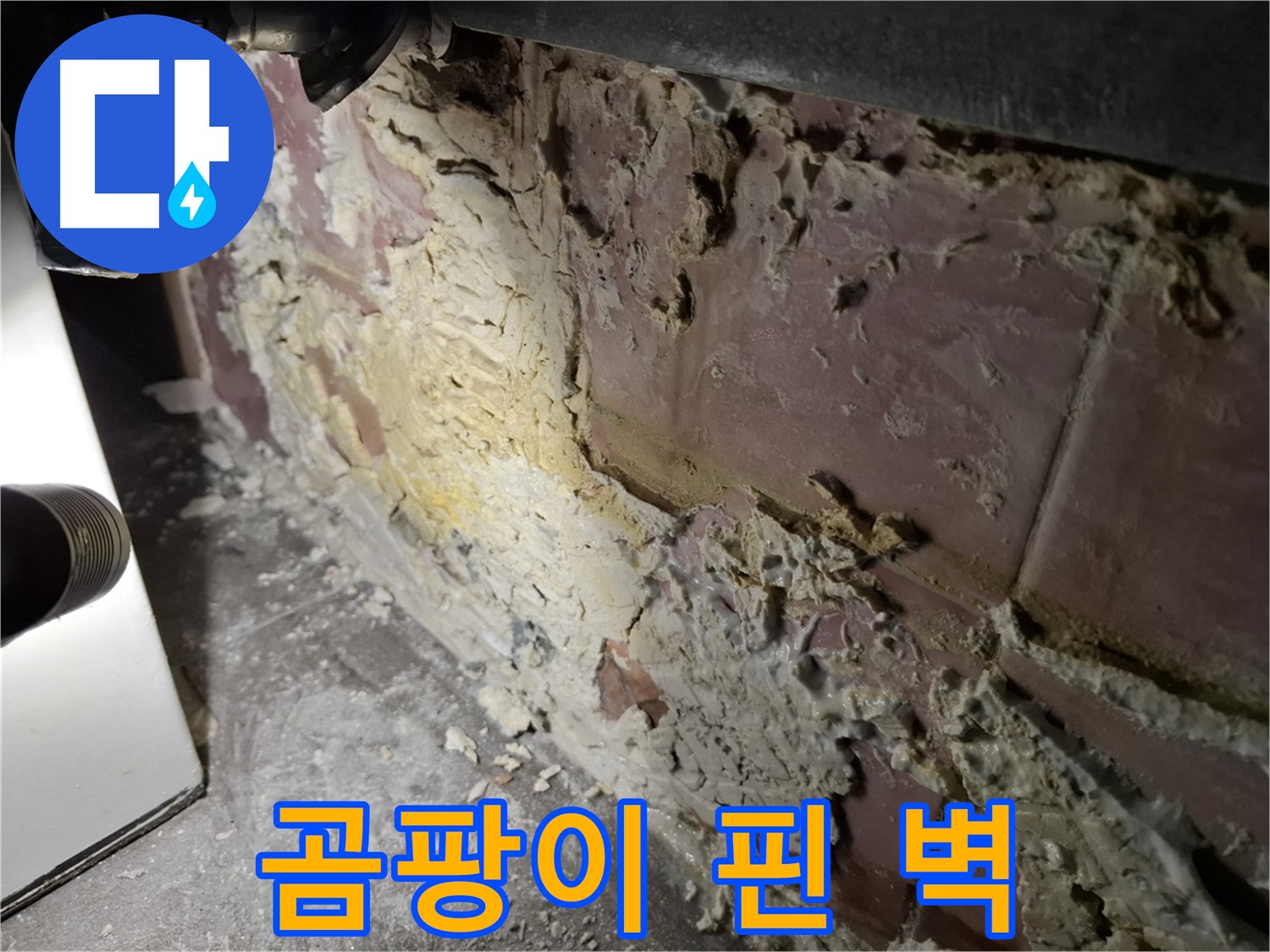 서대문구 홍은빌라 누수 - 곰팡이 핀 벽면