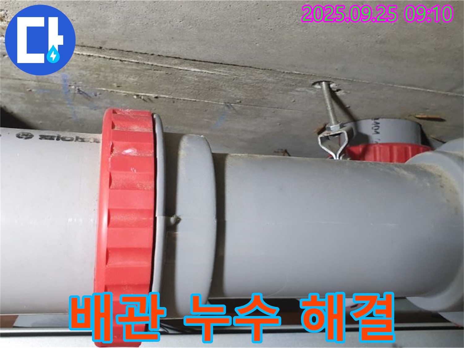 광적면 가납리 윗집 하수 배관 누수 - 숙련된 기술로 완벽하게 해결하고, 아랫집 고객님의 만족을 이끌어냈습니다.