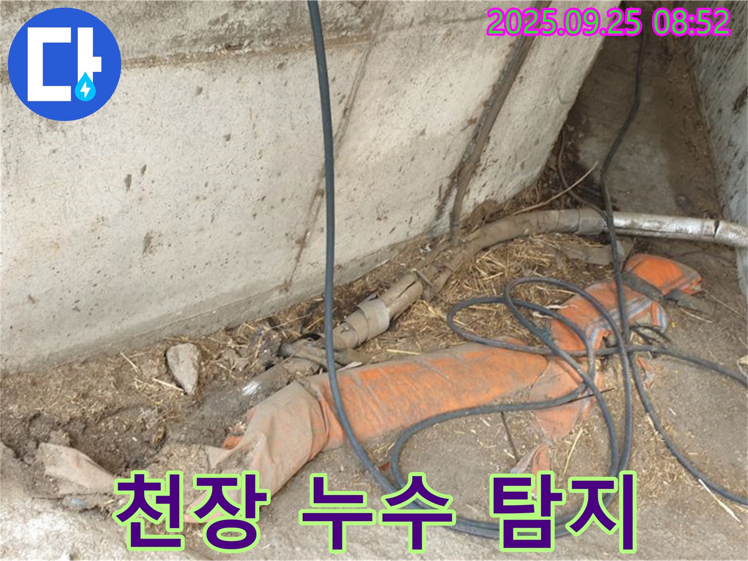 백석읍 복지리 천장 누수 탐지 - 축사 천장 누수, 꼼꼼하게 찾아 해결합니다.