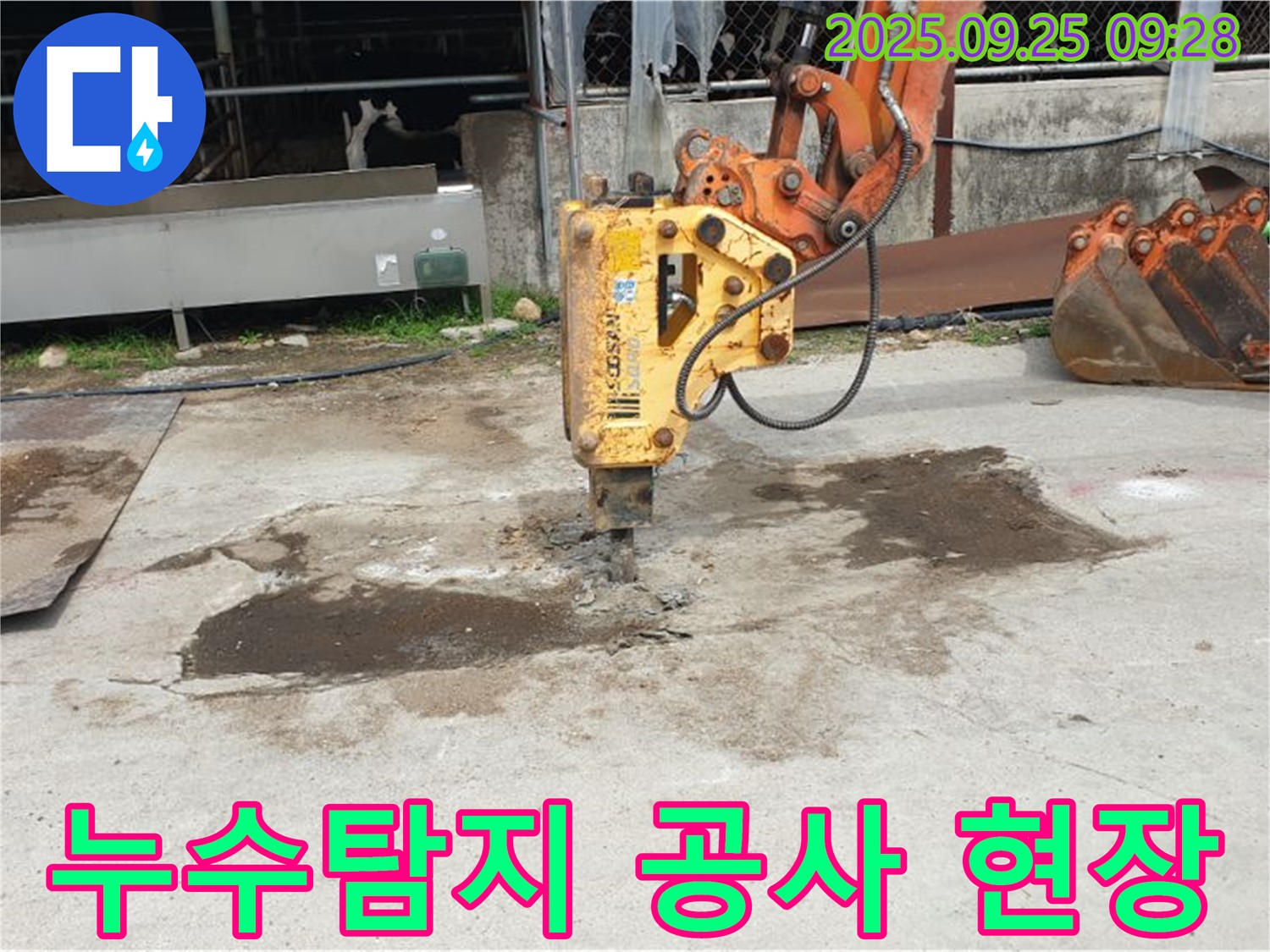 양주시 백석읍 누수탐지 공사 현장 - 꼼꼼한 누수 점검과 정확한 누수 위치 파악으로 문제 해결