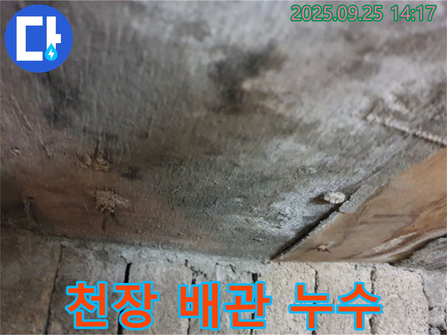 의정부 호원동 누수 현장 - 천장에서 누수가 발생하여 윗집 배관 문제를 의심하고 있습니다.