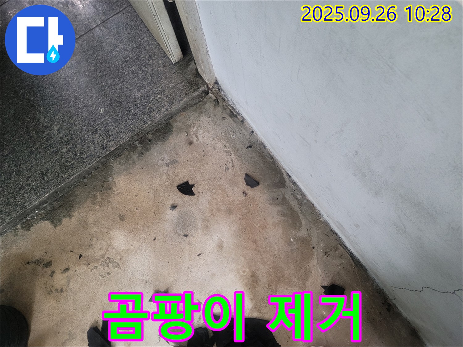 곰팡이 제거 - 누수로 인해 발생한 곰팡이를 제거하는 모습입니다.