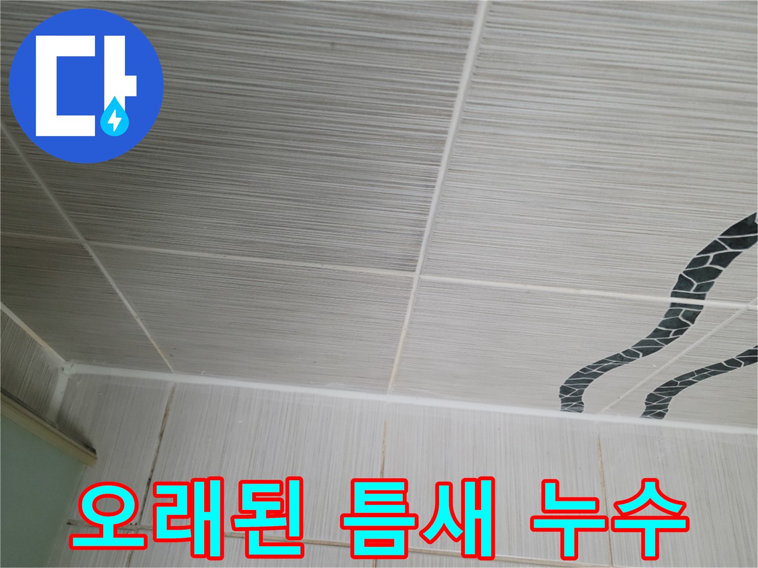 동두천 강변로 누수 - 오래된 욕실 타일 틈새의 누수 지점을 꼼꼼하게 확인하고 있습니다.
