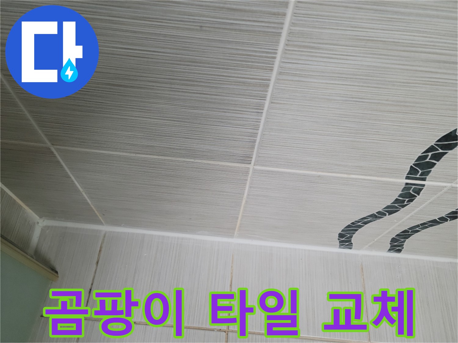 동두천 누수 - 곰팡이로 심하게 오염된 욕실 천장 타일 교체가 시급한 상황입니다.