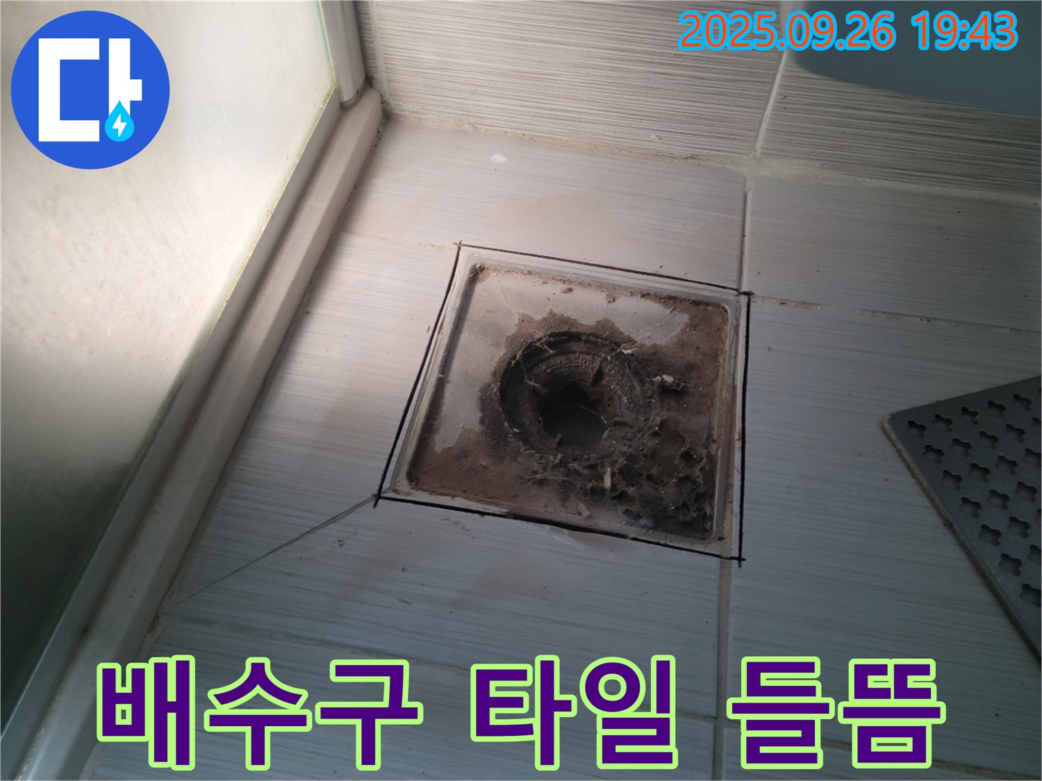 동두천 누수 공사 전문 업체에서 욕실 배수구 주변 타일 들뜸 현상을 확인하는 모습 - 누수의 위험 신호를 알려드립니다.