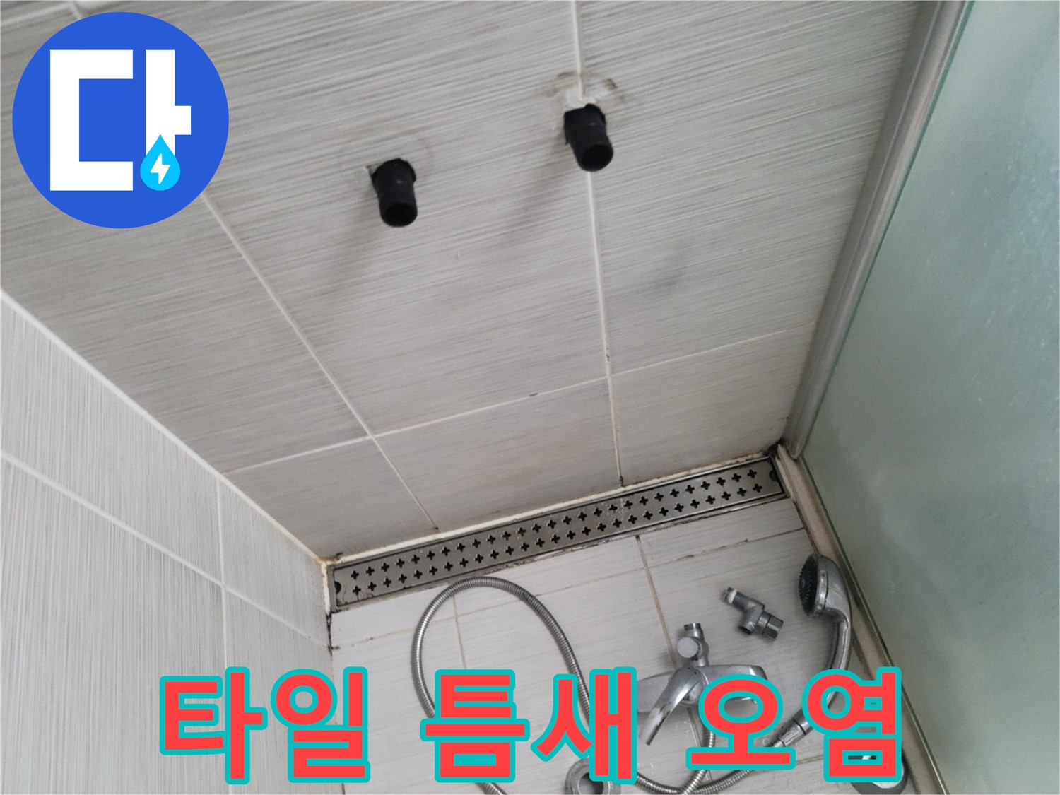동두천 신창동 - 샤워기 주변 천장 타일 틈새의 오염된 모습 - 틈새를 노리는 누수의 흔적!