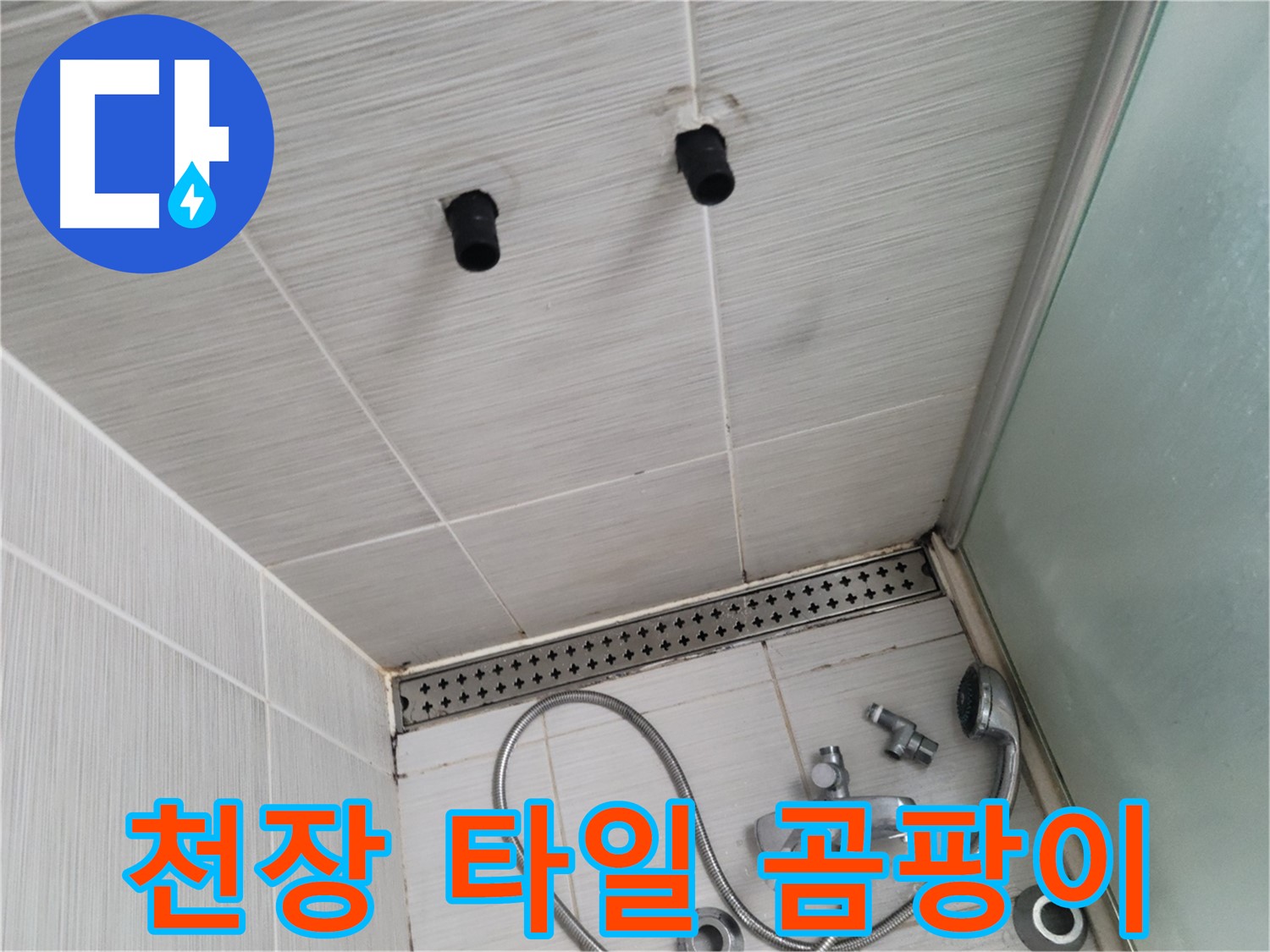 동두천 신창동 - 샤워기 철거 후 천장 타일의 곰팡이 - 곰팡이는 습기와 누수의 신호!