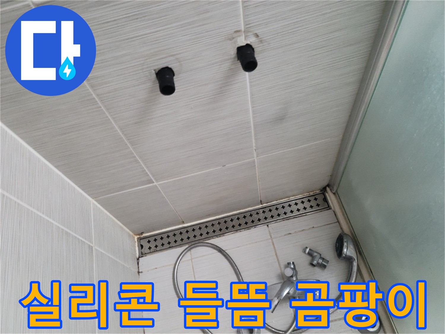 동두천 신창비바 - 샤워기 주변 실리콘 들뜸과 곰팡이 - 곰팡이 핀 실리콘은 무용지물
