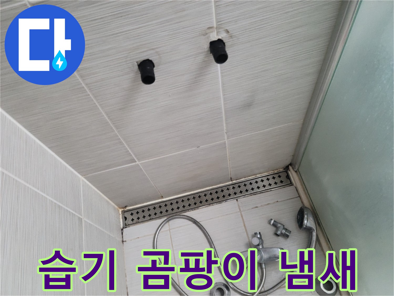 동두천 신창비바 - 샤워기 철거 후 천장 습기와 곰팡이 냄새 - 불쾌한 냄새의 원인은?