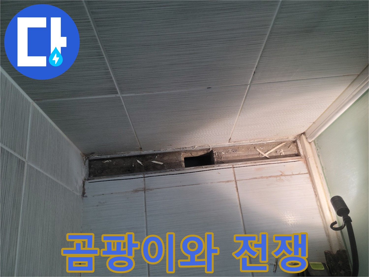 동두천 신창비바패밀리 욕실 천장 누수 - 곰팡이와의 전쟁