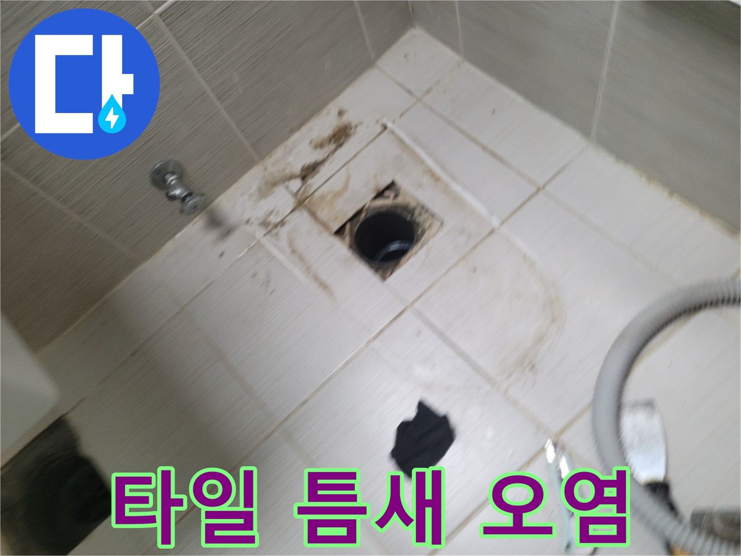 동두천시 생연동 - 욕실 하수구 주변 타일 틈새 오염 - 누수 의심