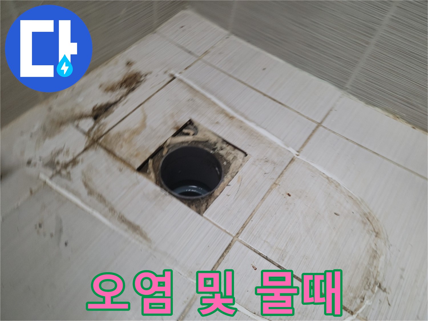 배수구 주변 - 오염 및 물때, 누수 가능성 점검