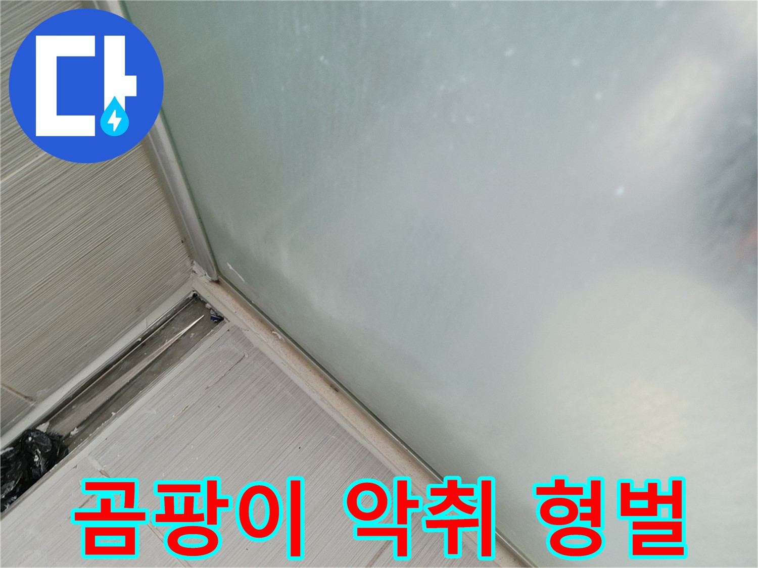 샤워부스 누수 - 곰팡이 - 악취 - 형벌