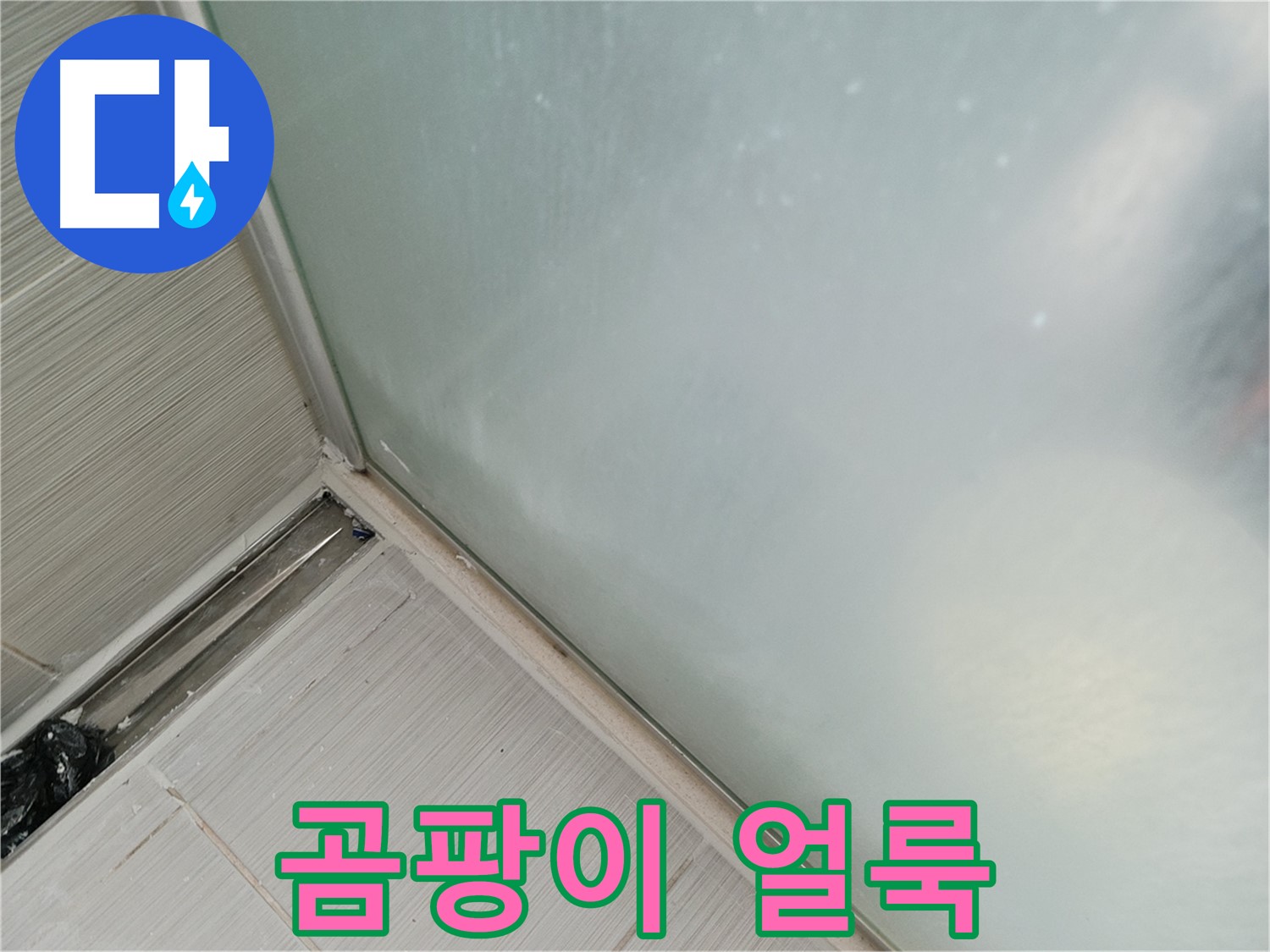 샤워부스 누수 - 곰팡이 얼룩 - 보기 흉한 모습 - 건강에도 해로워요