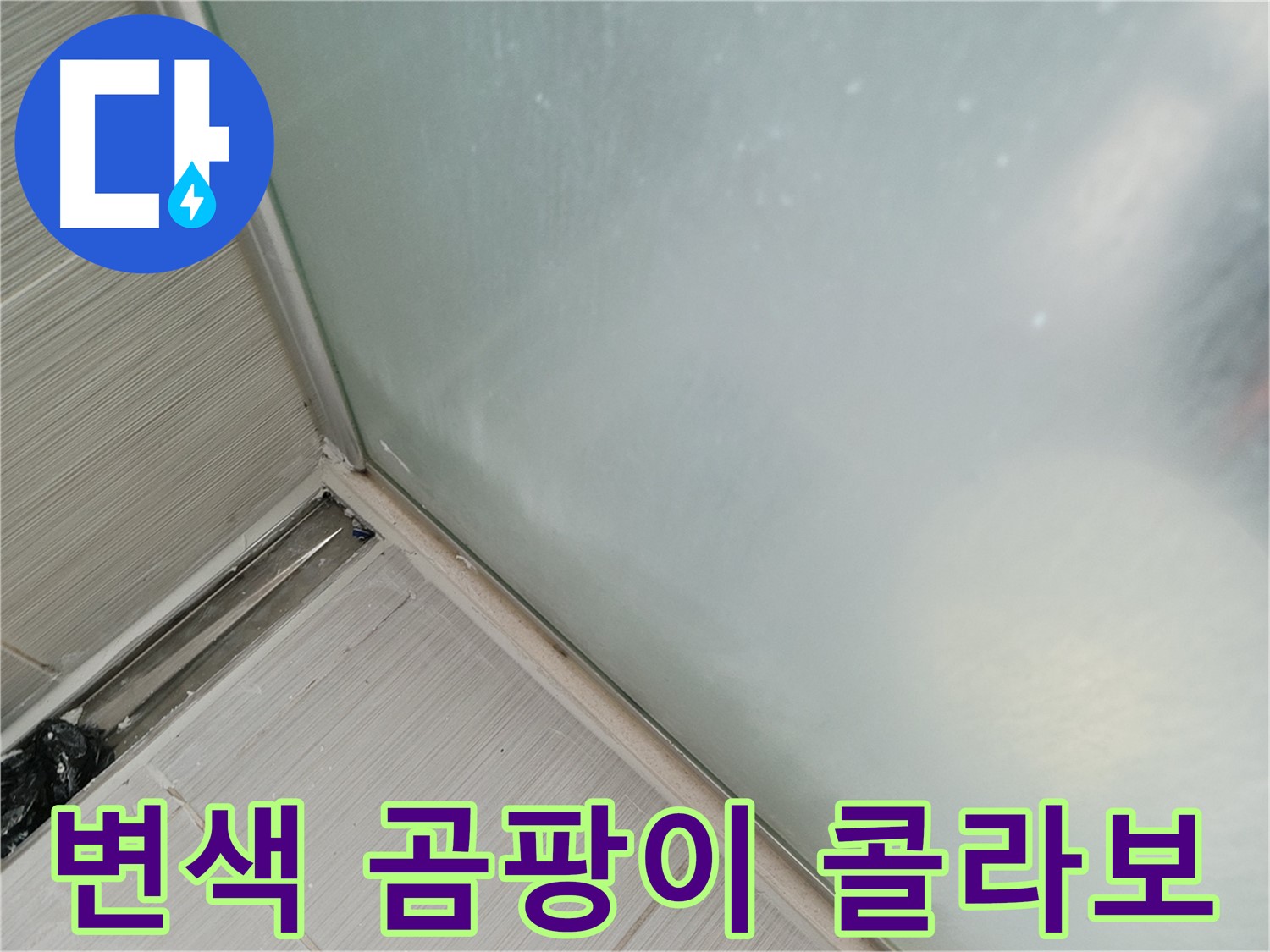 샤워부스 누수 - 변색된 실리콘 - 곰팡이