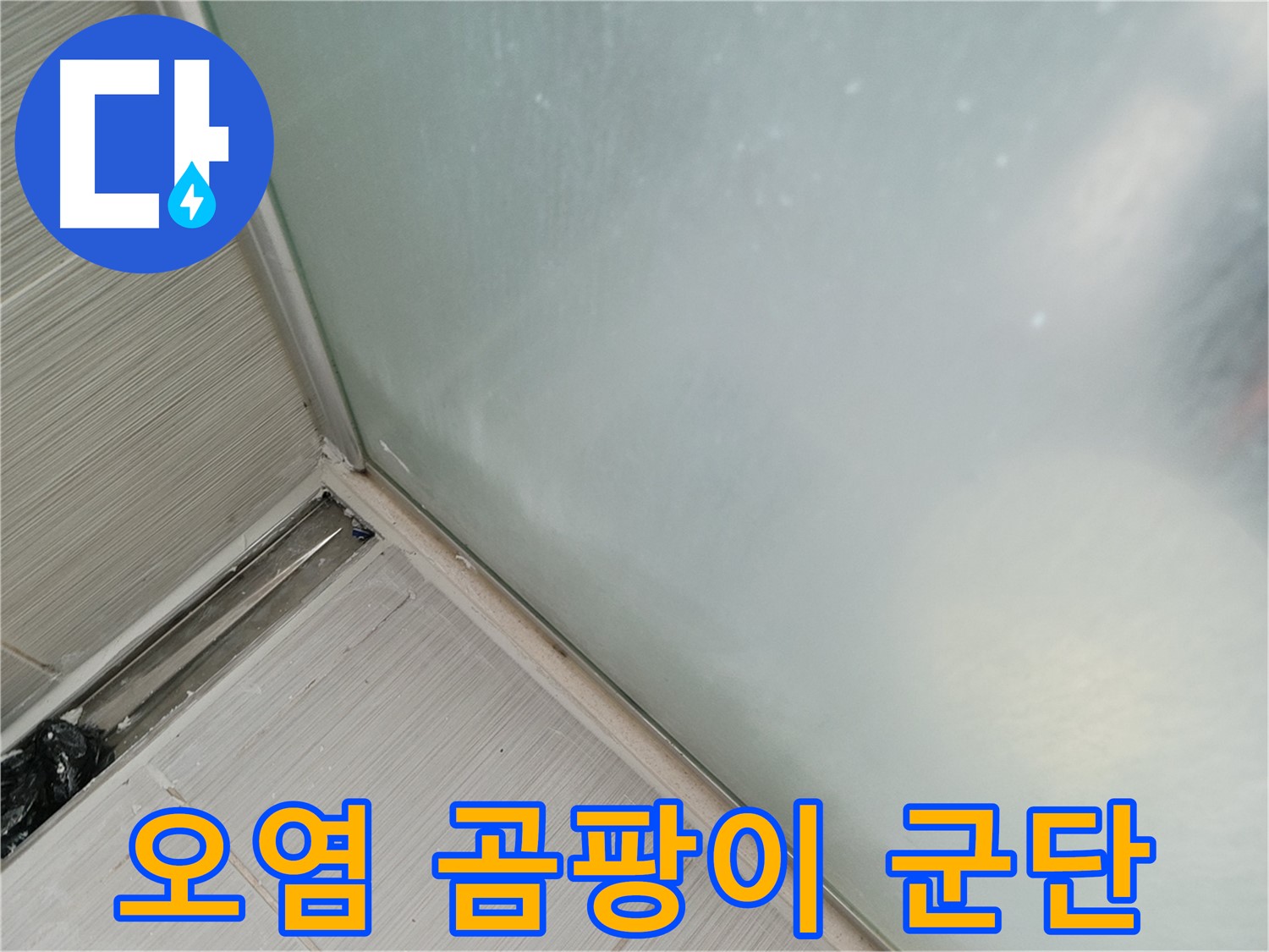 샤워부스 누수 - 오염 심각 - 곰팡이 군단