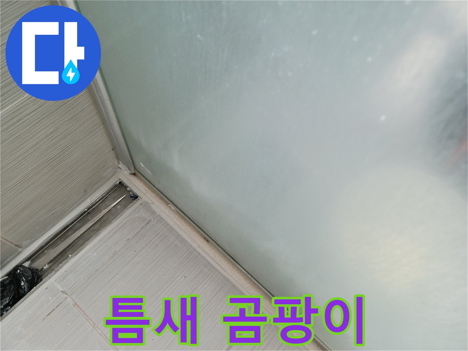 샤워부스 누수 - 틈새 - 곰팡이 - 천국