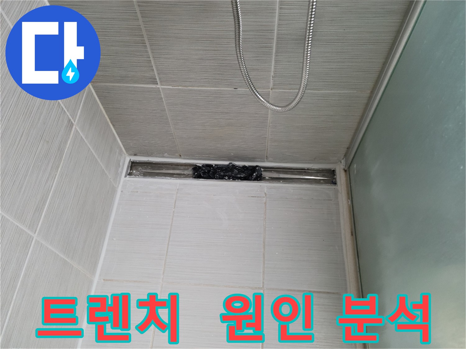 샤워부스 트렌치 - 누수 원인, 해초 속에 숨겨진 보물 발견?!