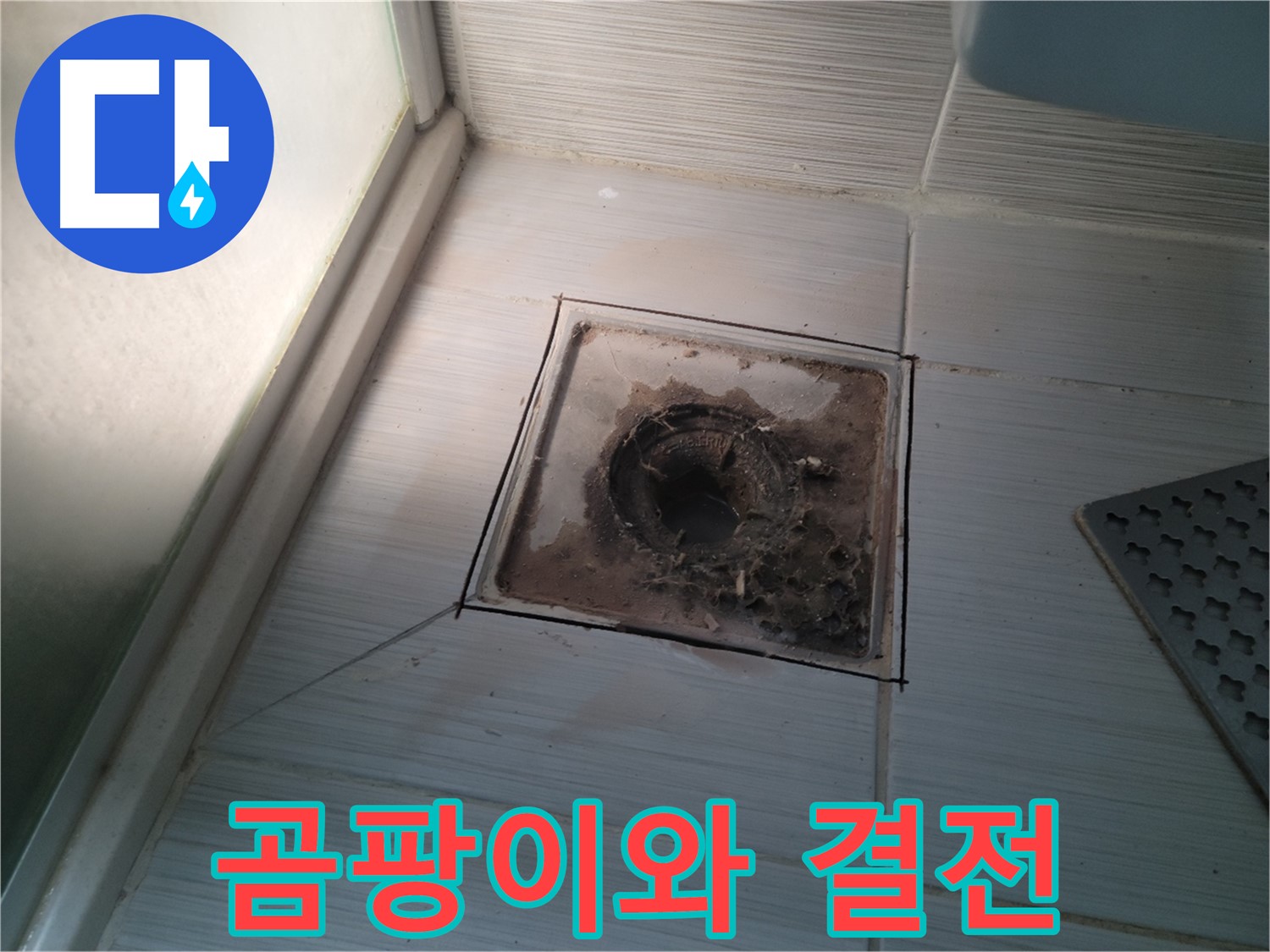 신창비바패밀리 욕실 배수구 주변 - 곰팡이와의 결전!