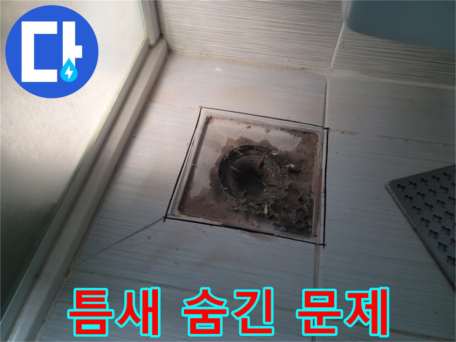 신창비바패밀리 욕실 배수구 - 타일 틈새의 숨겨진 문제 발견!