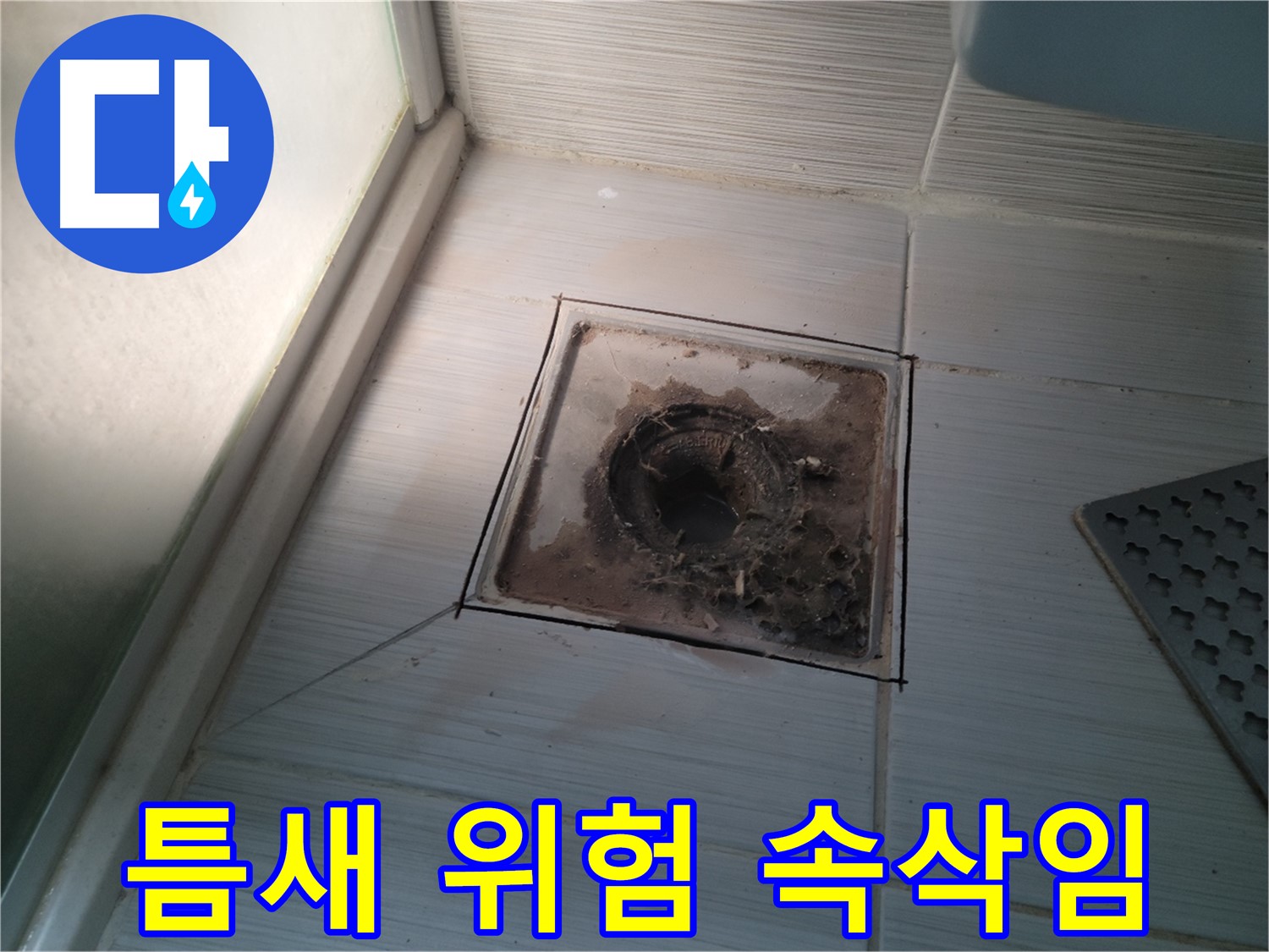 신창비바패밀리 욕실 배수구 - 타일 틈새의 위험한 속삭임, 누수 조심!