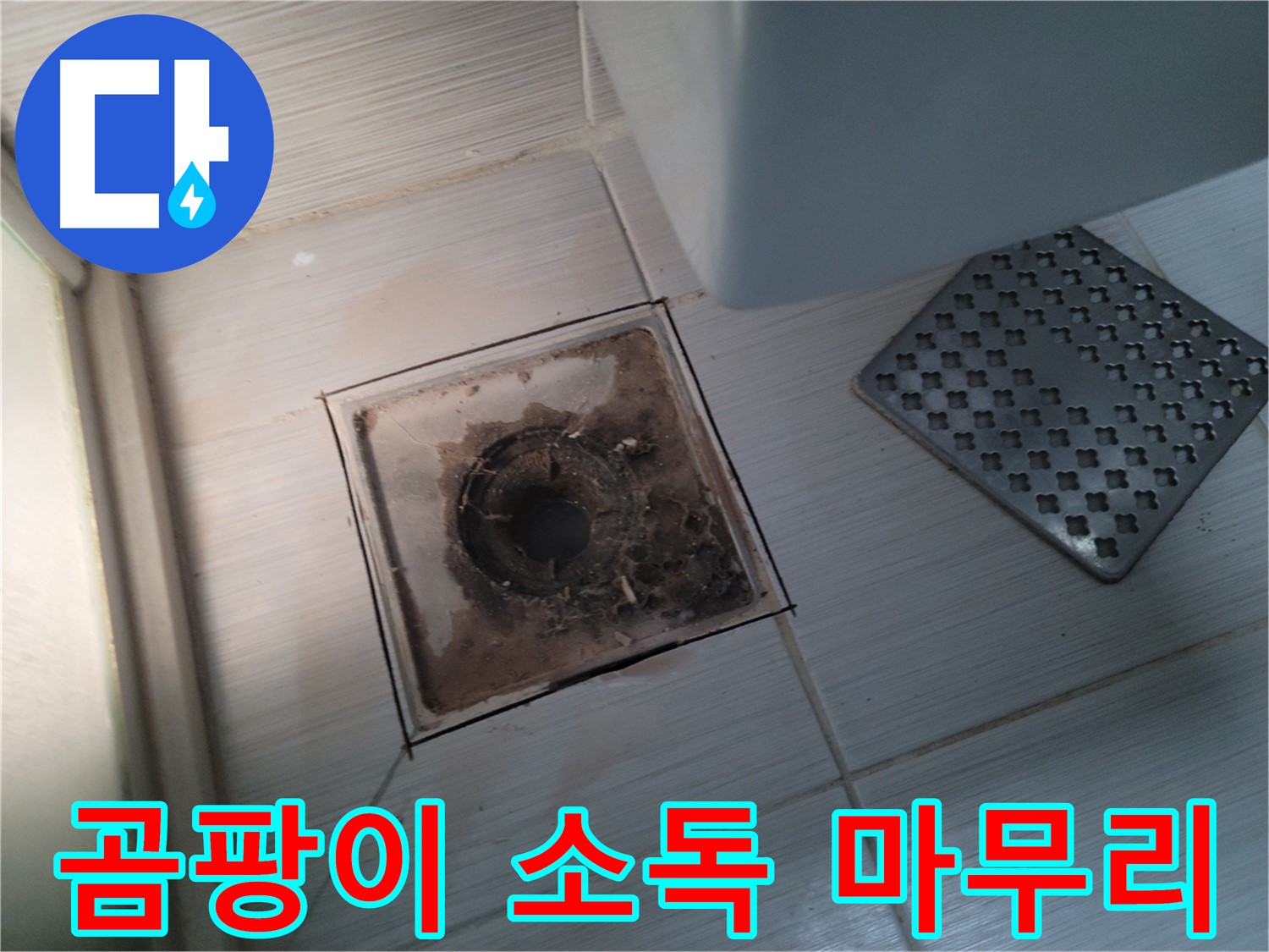 욕실 배수구 - 곰팡이 - 살균 소독으로 깨끗하게 마무리