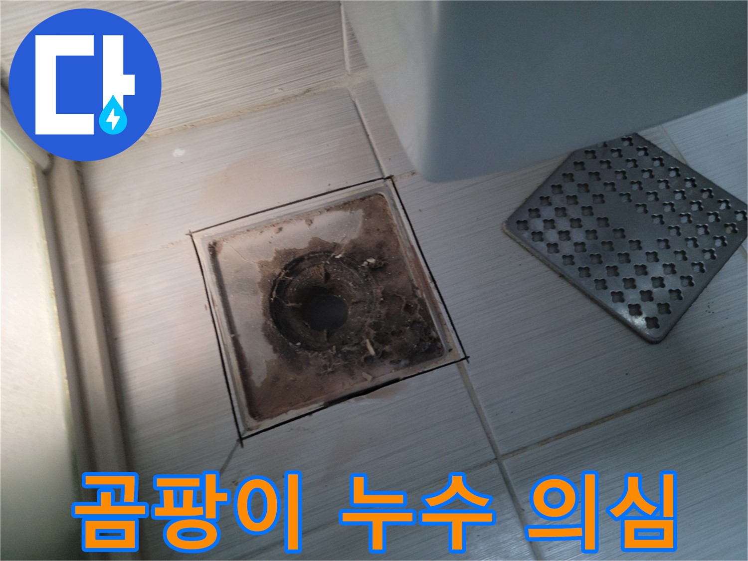 욕실 배수구 주변 - 곰팡이 - 누수 때문일 수도 있어요, 점검 필수