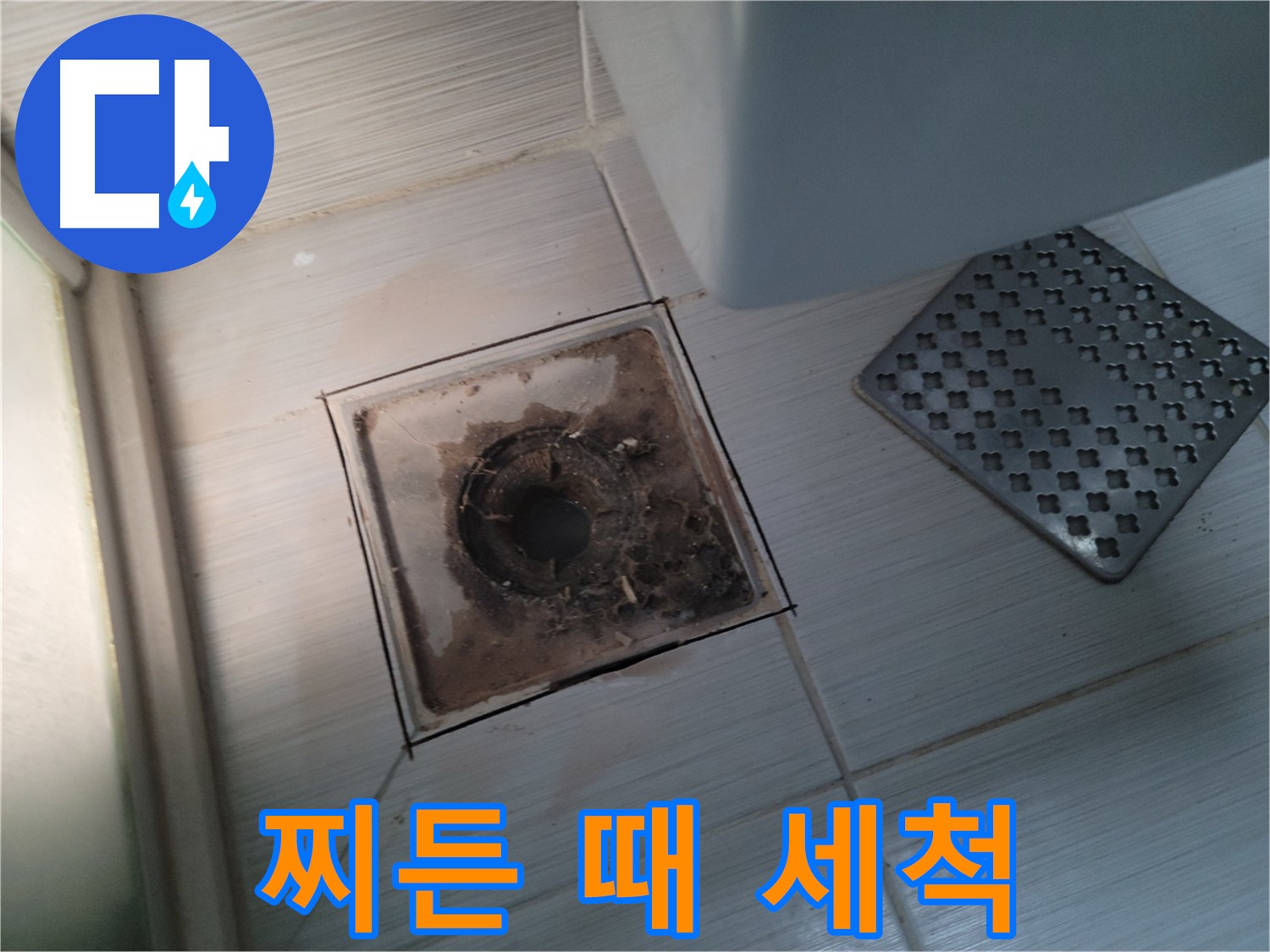욕실 배수구 - 찌든 때 심각 - 강력 세척으로 깨끗하게