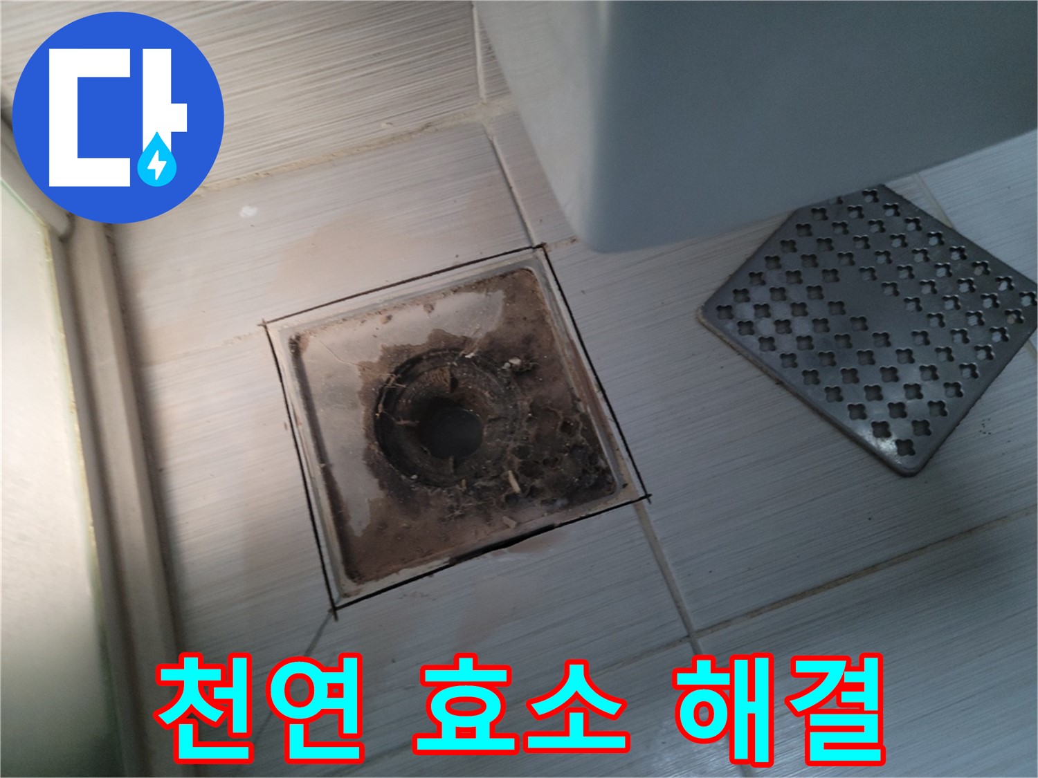 욕실 배수구 - 천연 효소 세정제 - 안심하고 사용