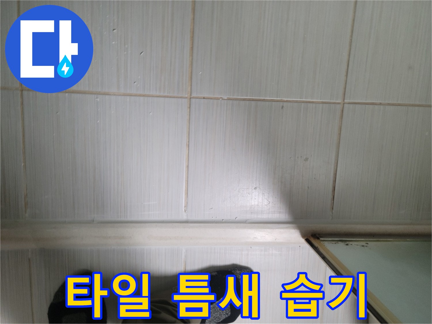 타일 틈새 습기 - 곰팡이 번식의 최적 환경!