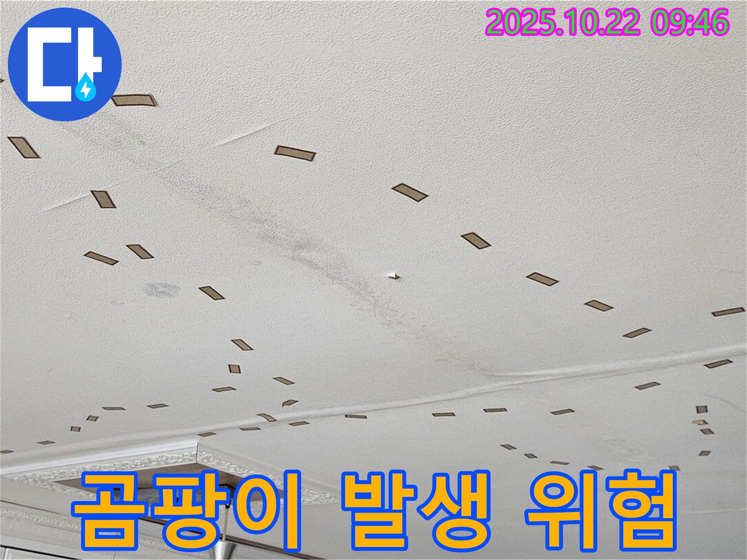 곰팡이 발생 위험 - 누수를 방치하면 곰팡이가 발생하여 건강에 해로울 수 있습니다 - 빠른 조치가 필요합니다.