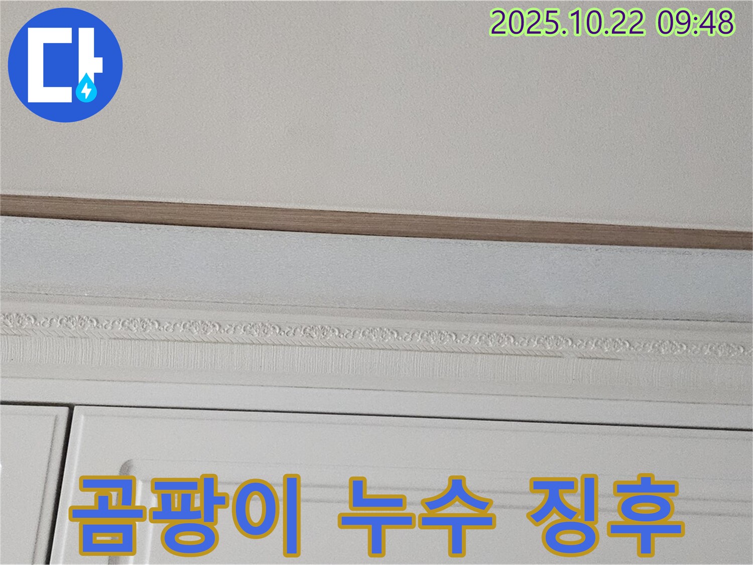 도봉구 현대시티 누수 - 곰팡이 핀 석고보드, 누수의 징후일 수 있습니다.