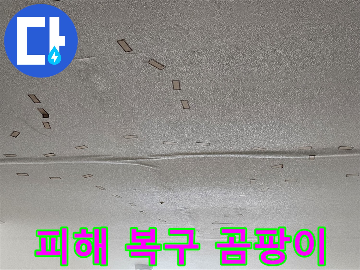 도봉구 현대시티 아파트 - 천장 누수 피해 복구 - 긴급 복구 및 곰팡이 제거