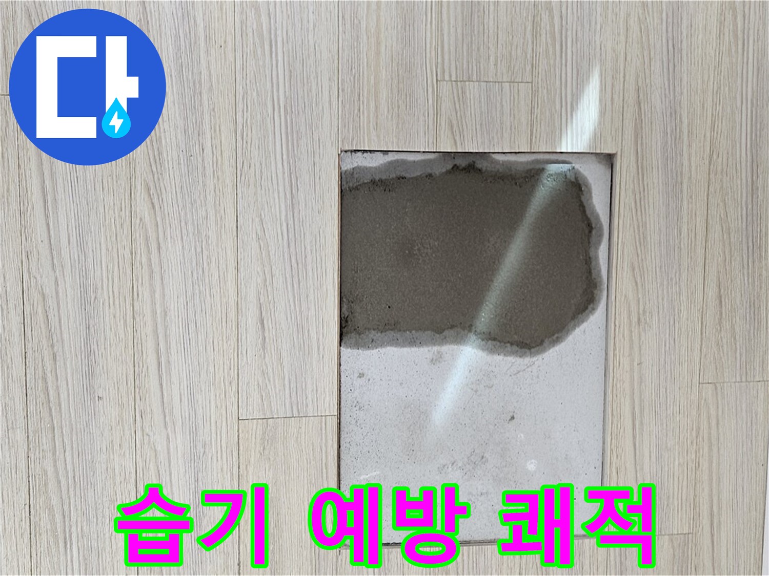 도봉구 현대시티 장판 - 습기 제거, 쾌적한 환경