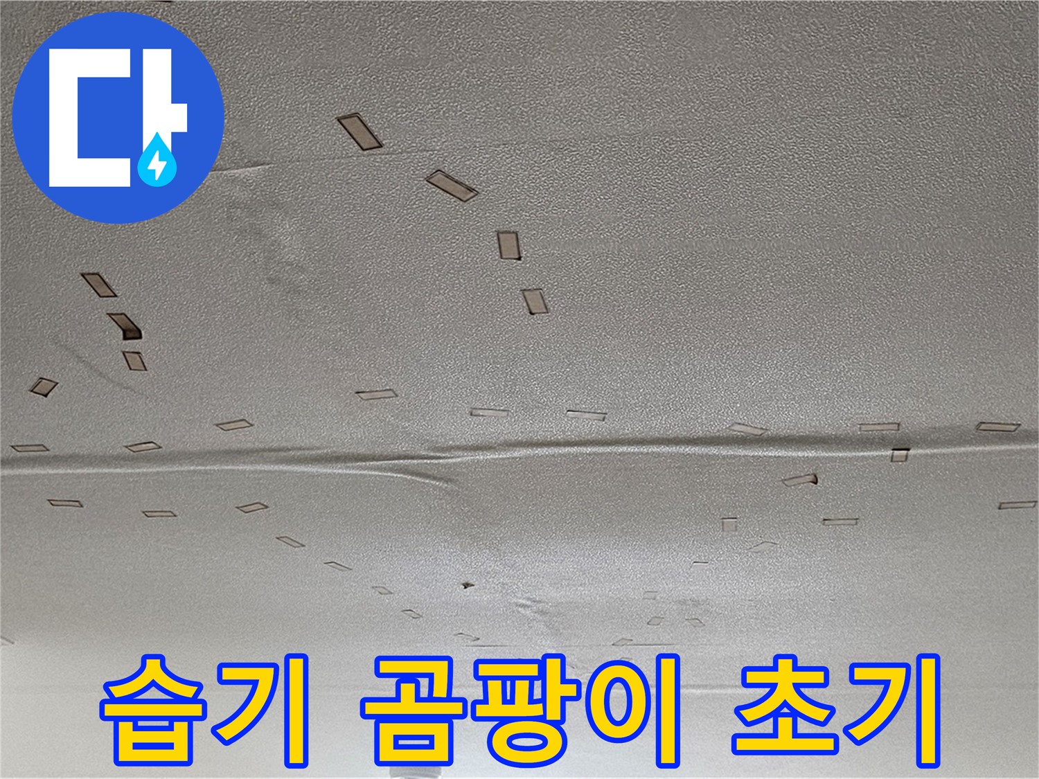 도봉동 현대시티 아파트 - 천장 습기 - 곰팡이 초기 발생 - 긴급 해결