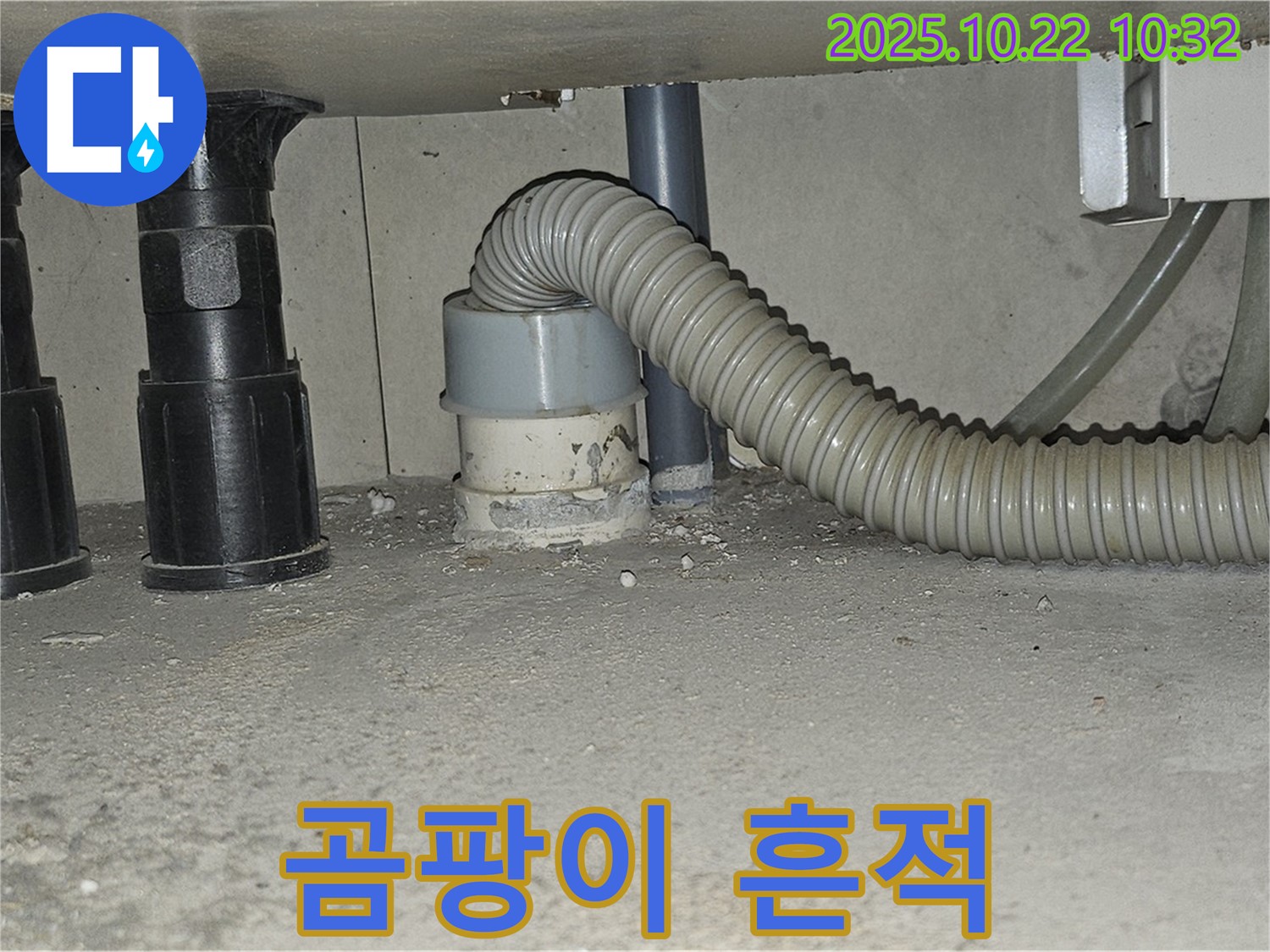 세탁기 하수구 배수구 연결 부위에 곰팡이 흔적이 보여 누수가 의심되는 상황입니다 - 곰팡이는 습한 환경에서 잘 번식하며 누수의 징후일 수 있습니다 - 곰팡이 제거와 함께 누수 원인 제거가 필요합니다.