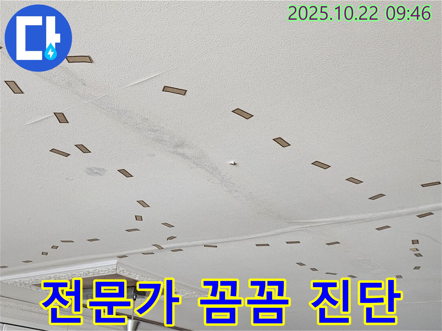 전문가 꼼꼼 진단 - 숙련된 누수 전문가가 꼼꼼하게 진단하고, 최적의 해결 방안을 제시합니다 - 확실한 해결 약속 - 믿고 맡겨주세요 - 최고의 선택 - 후회 없으실 겁니다 - 꼼꼼한 진단 - 완벽한 해결.