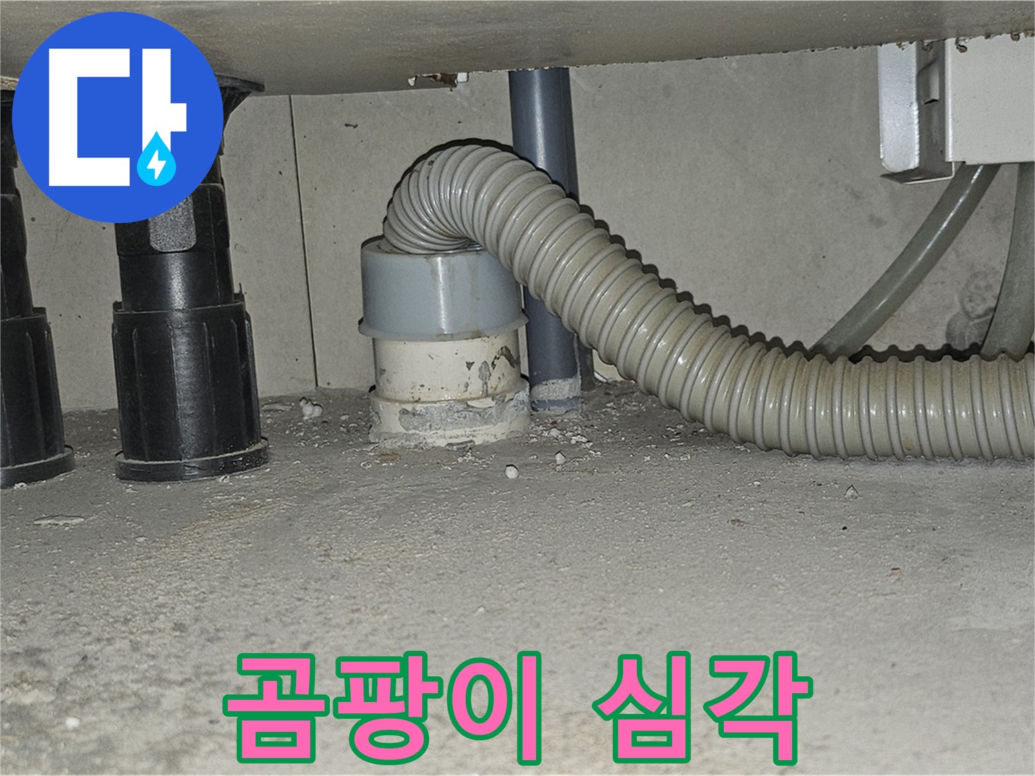 현대시티 누수 - 싱크대 배수관 주변 백시멘트 곰팡이 심각