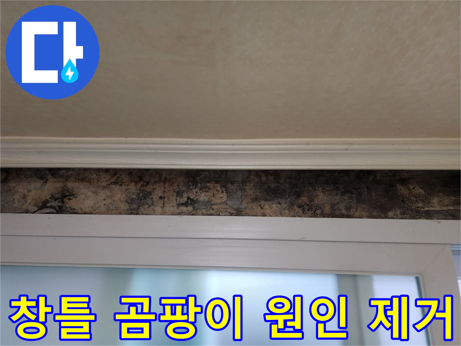 노원구 공릉동 누수 문제 해결 - 창틀 곰팡이 발생 원인 분석 및 제거