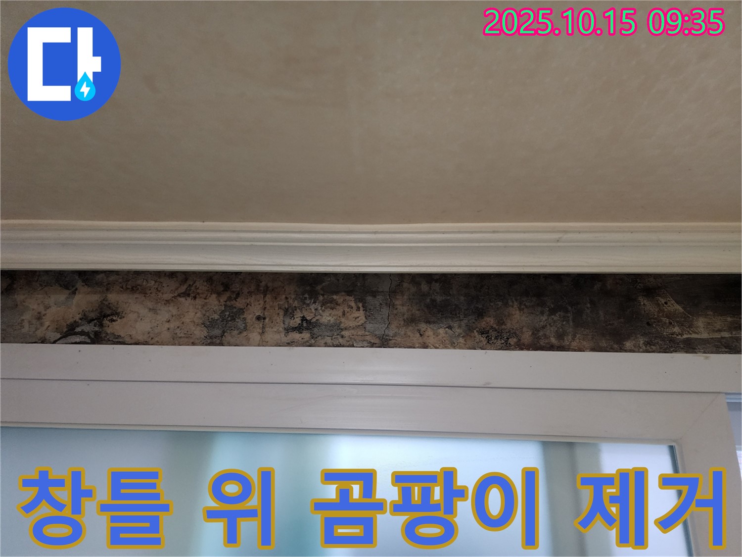 노원구 공릉동 누수 - 창틀 위 검은 곰팡이 완벽 제거 및 누수 해결