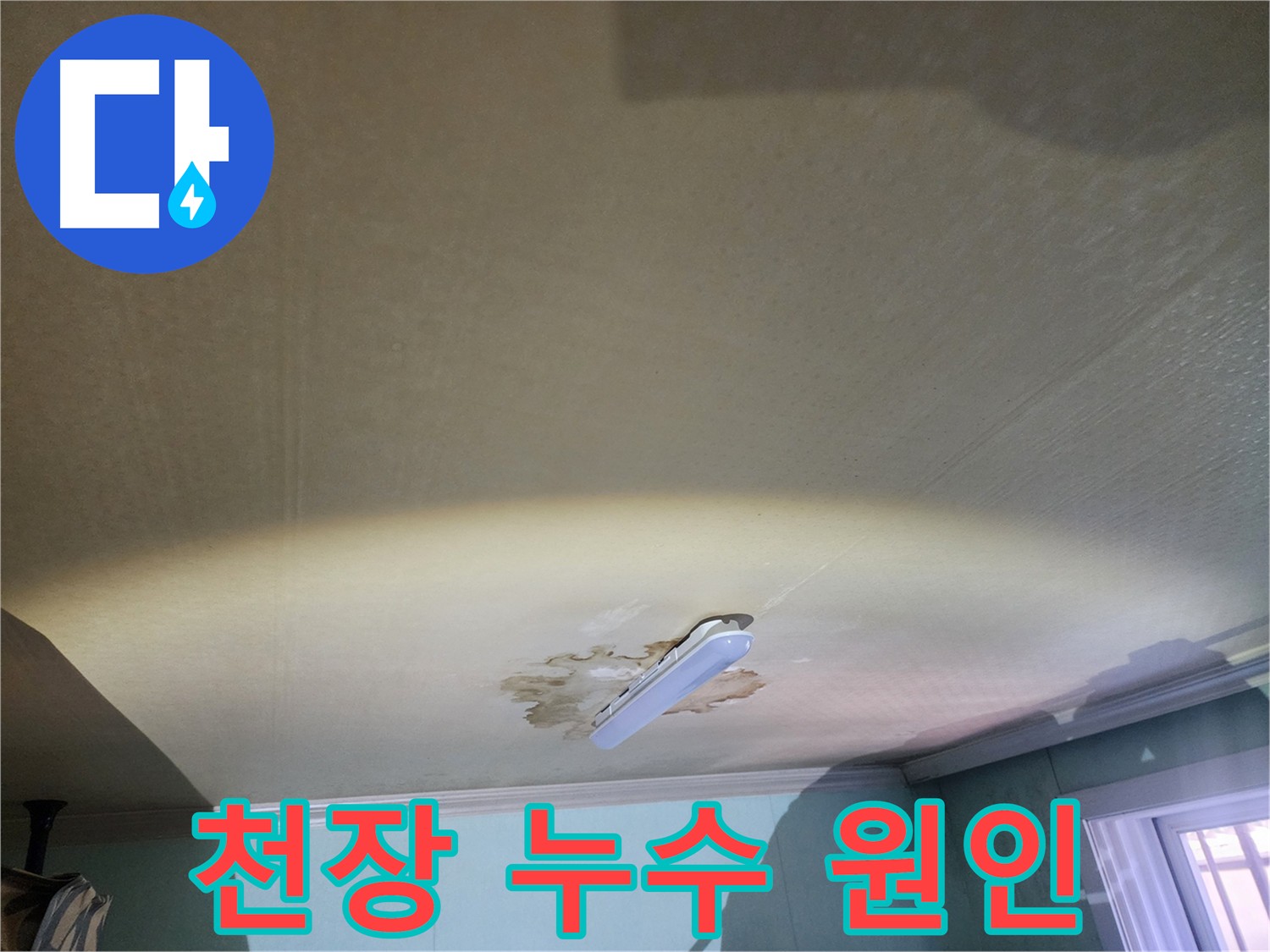 아랫집 천장 누수 흔적 - 누수 원인 진단 필요