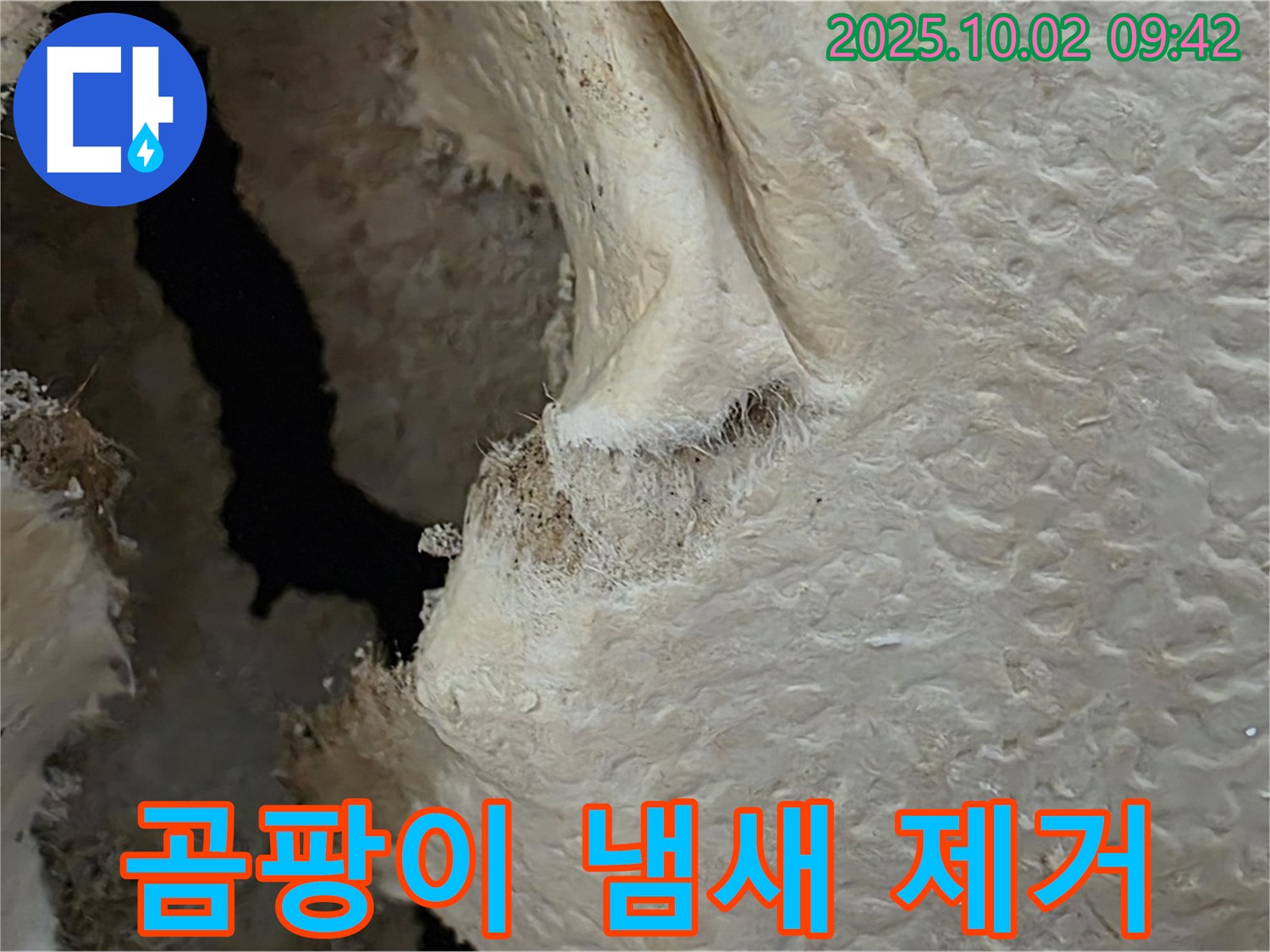양주시 남면 신산리 주택 곰팡이 냄새 제거 - 곰팡이 냄새의 원인을 제거하고 탈취 서비스를 제공합니다.