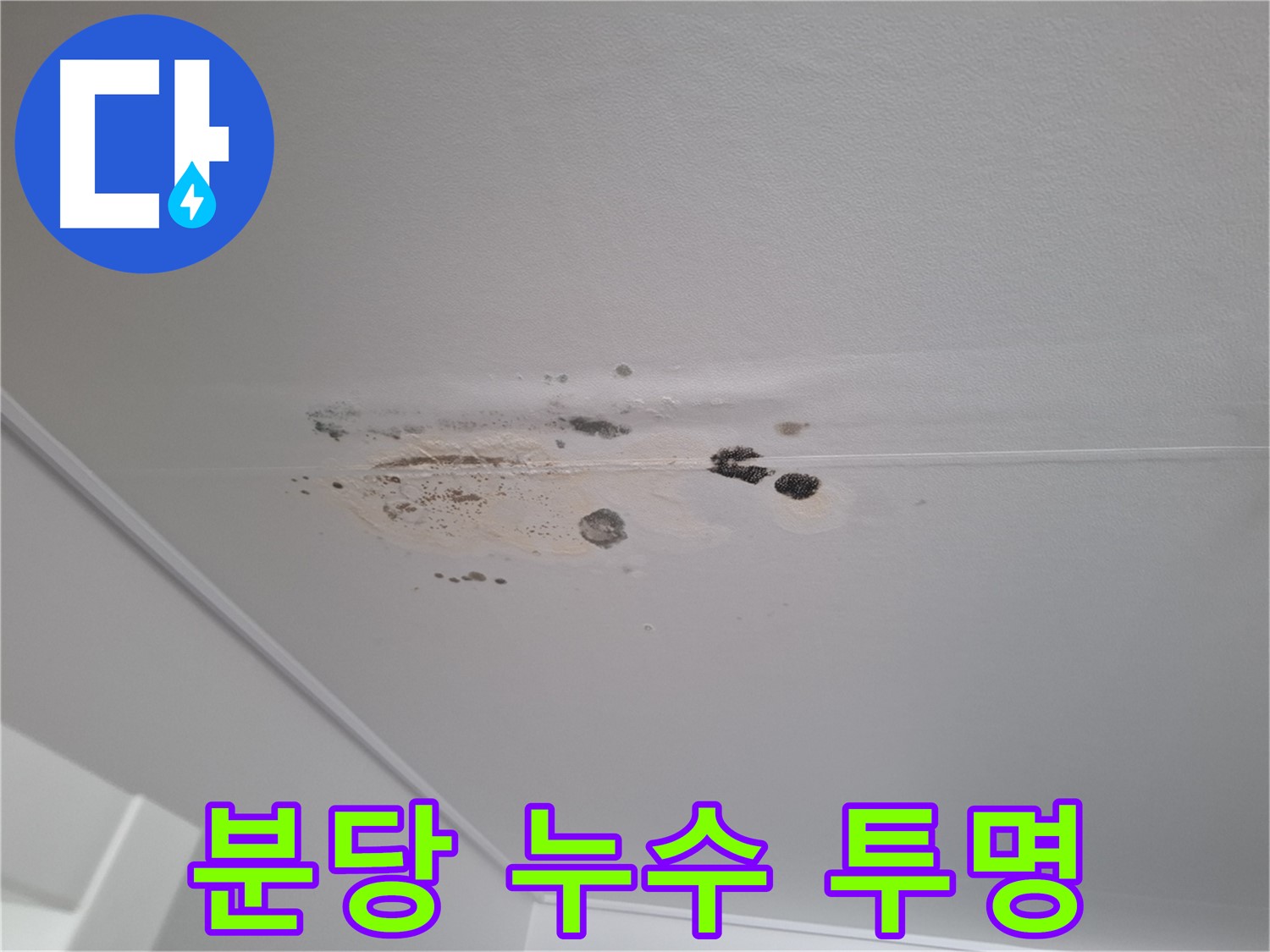 누수 해결 - 친절한 상담, 투명한 견적 제공