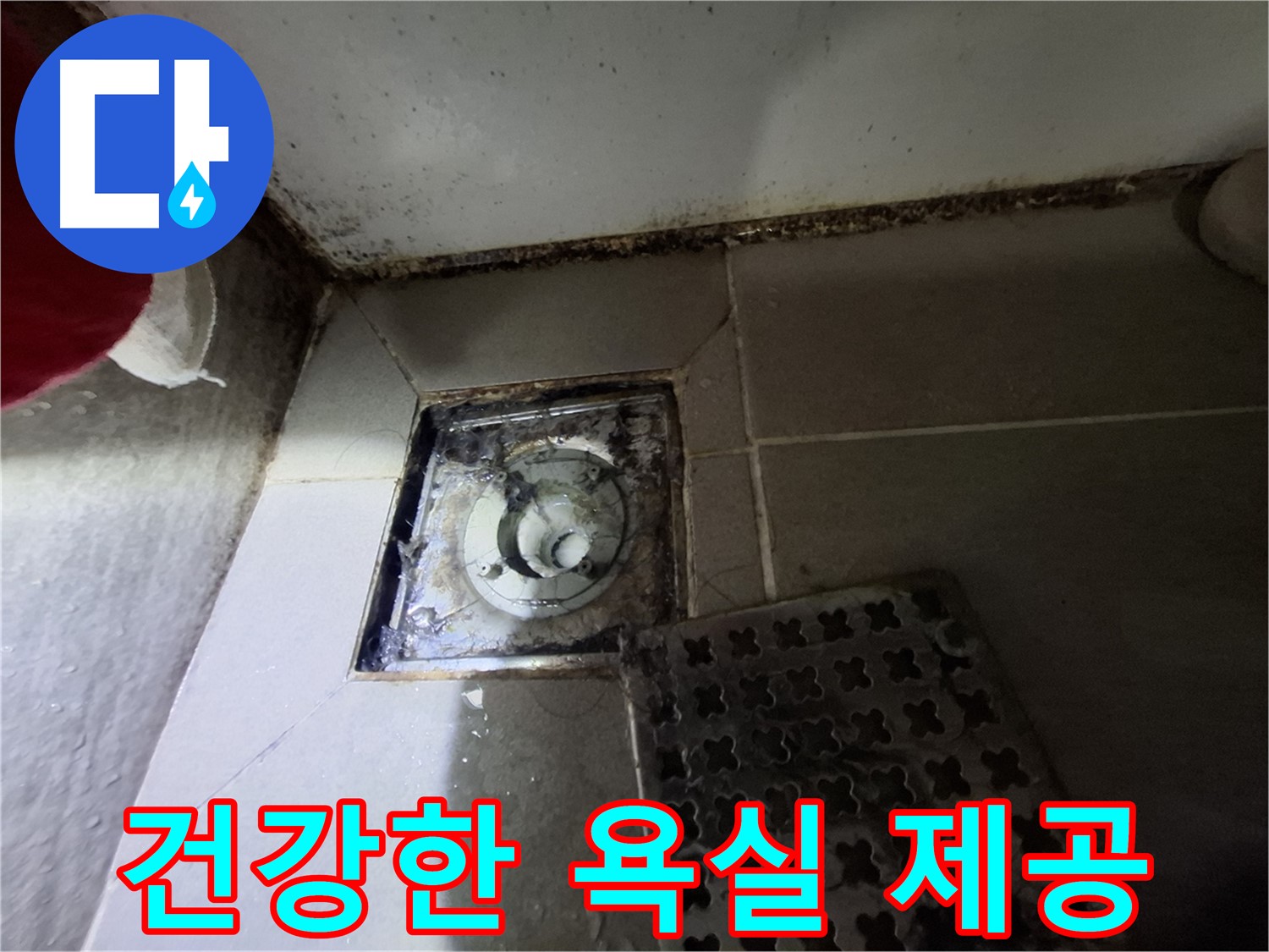 봇들마을2단지 아파트 욕실 - 곰팡이 제거 - 건강한 욕실 제공