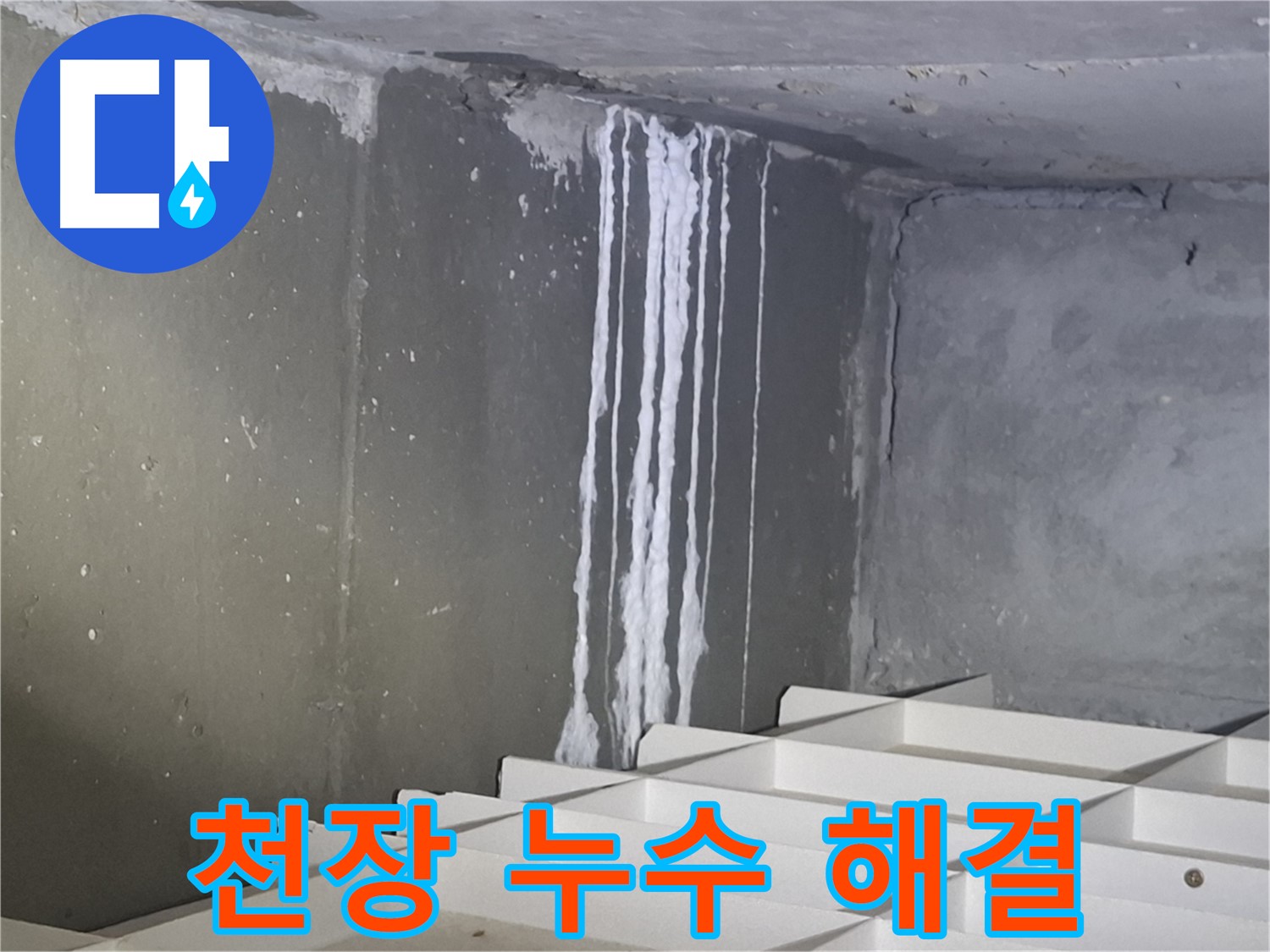 봇들마을2단지 - 천장 누수, 누수 해결 전문가가 나섰다!