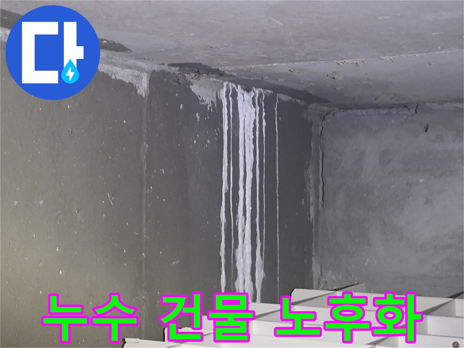 삼평동 건물 계단 벽 누수 - 건물 노후화 가속화의 주범