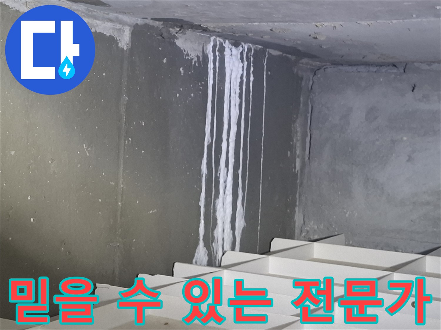 분당 봇들마을 아파트 - 지하 석회 누수, 믿을 수 있는 누수 전문가에게 맡기세요!