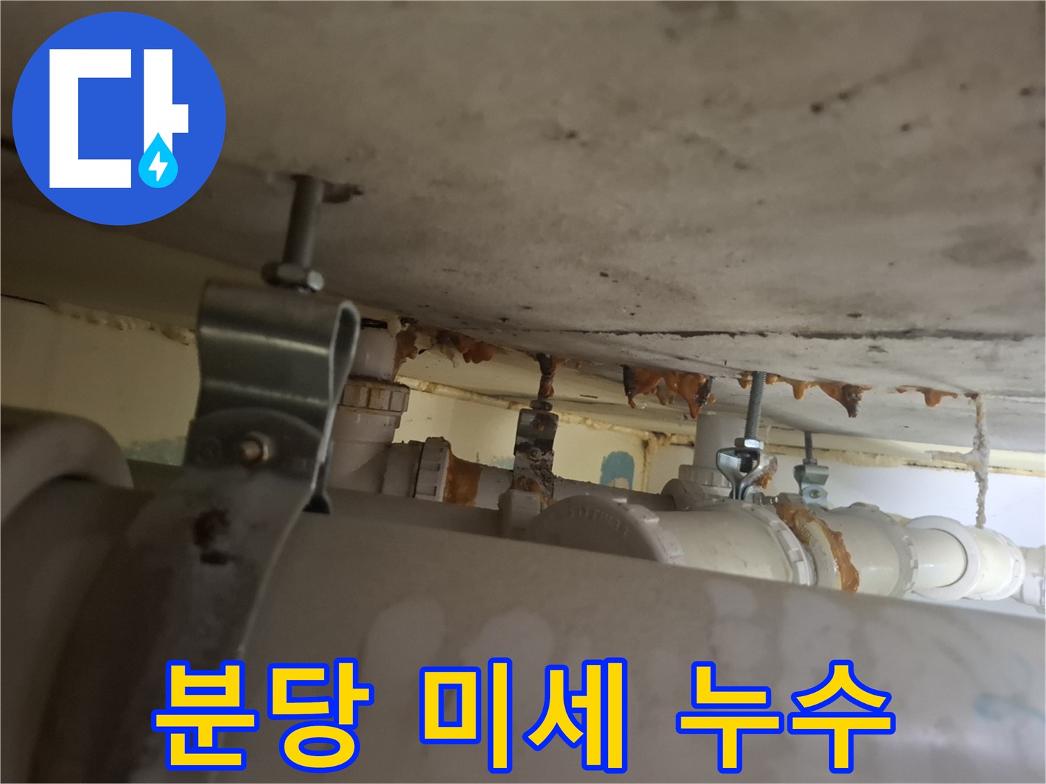 분당 봇들마을 아파트 - 천장 배관 연결 부위 미세 누수 흔적 발견